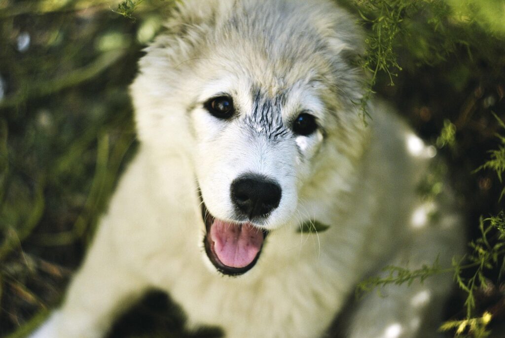 学生におすすめの脱毛方法とは？