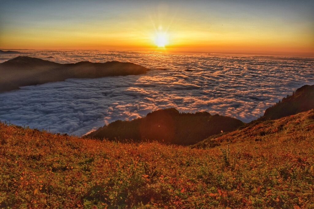 リゼの学割を利用したお得なサービスは？