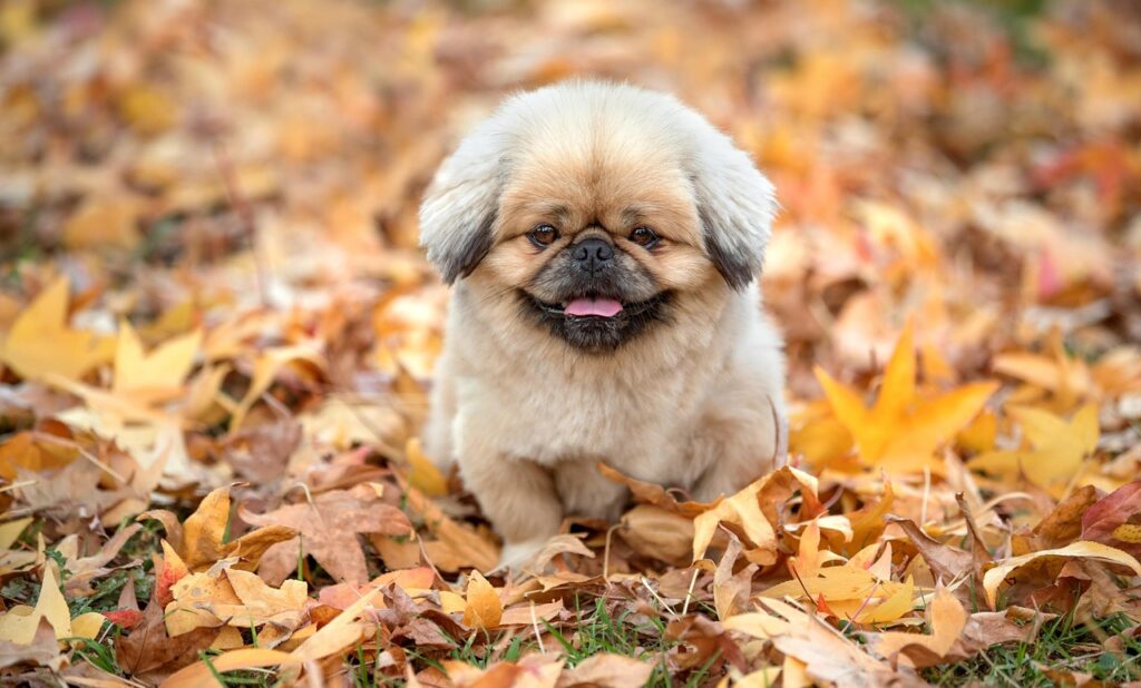 学生におすすめの永久脱毛方法とは？