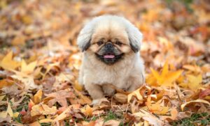 学生におすすめの永久脱毛方法とは？