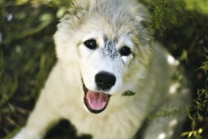 脱毛で肌に優しい方法はどれ？